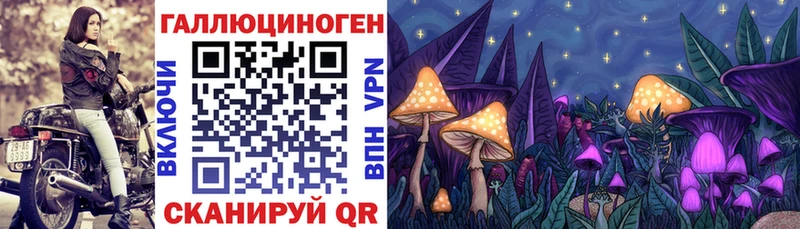 Псилоцибиновые грибы прущие грибы  Купить где  Губаха 